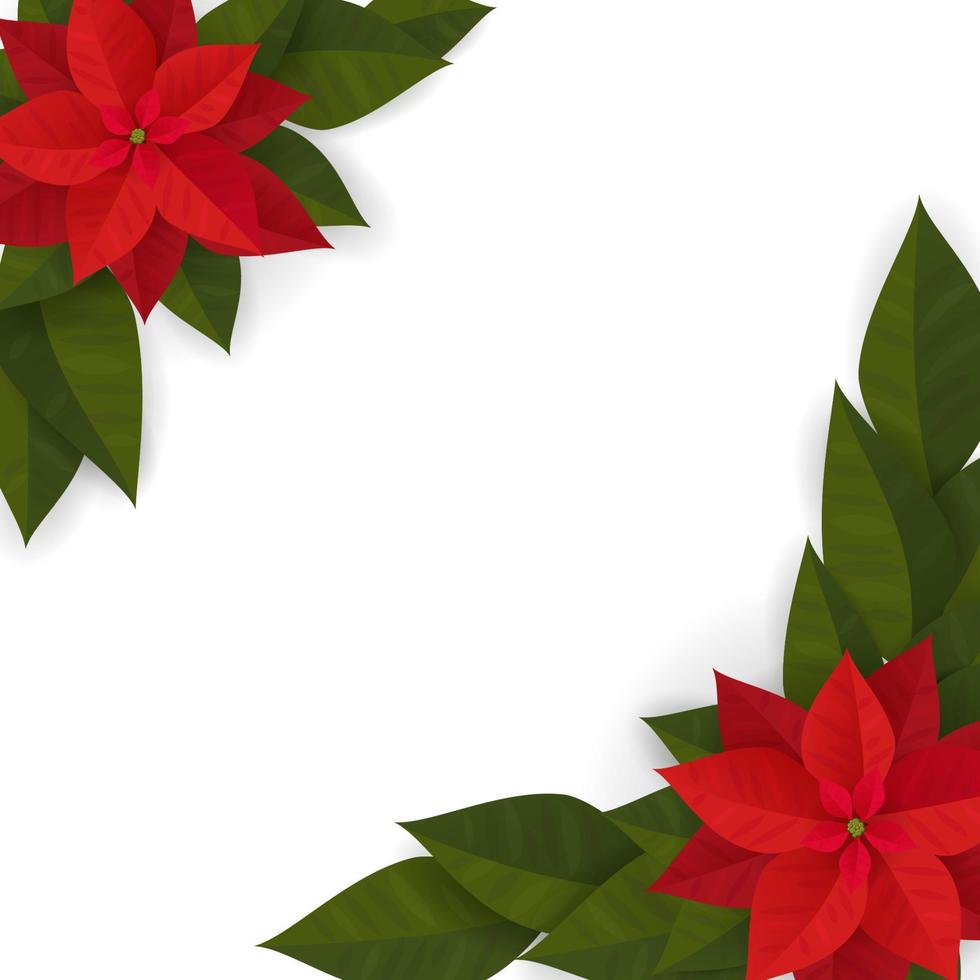 Vector illustration of a frame with a Christmas poinsettia plant. Drawing for a postcard, poster, background. EPS10