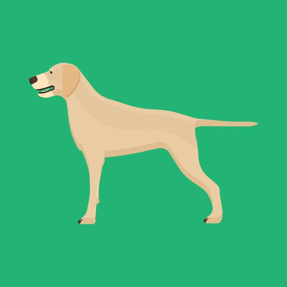 perro labrador animal mascota vector icono vista lateral. cachorro aislado lindo amigo feliz de dibujos animados. silueta canina de pie marrón