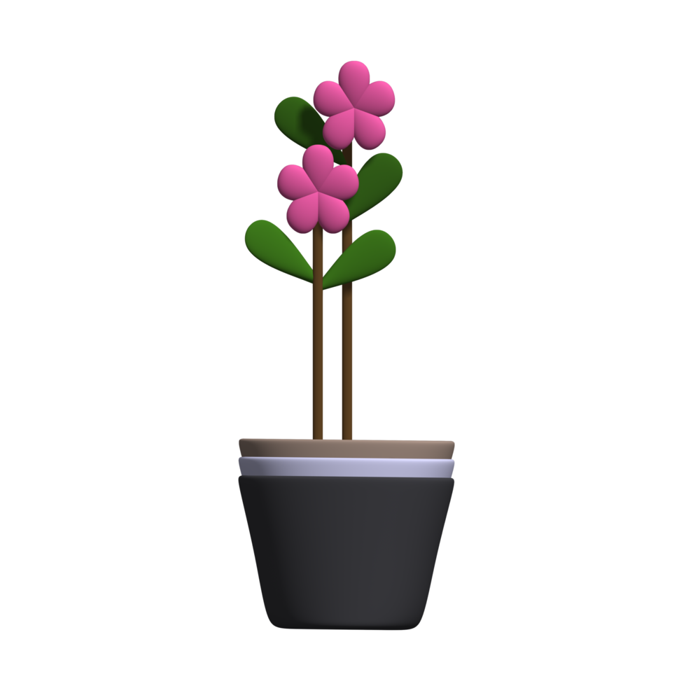 Plant with Flower for Home Decoration png