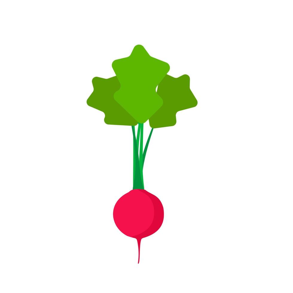 icono de vector de vista superior rojo rábano. símbolo vegetariano natural agricultura ingrediente vegetal plano. jardín de la granja de alimentos