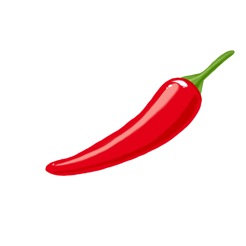 Red chilli pepper isolated on background. illustration png