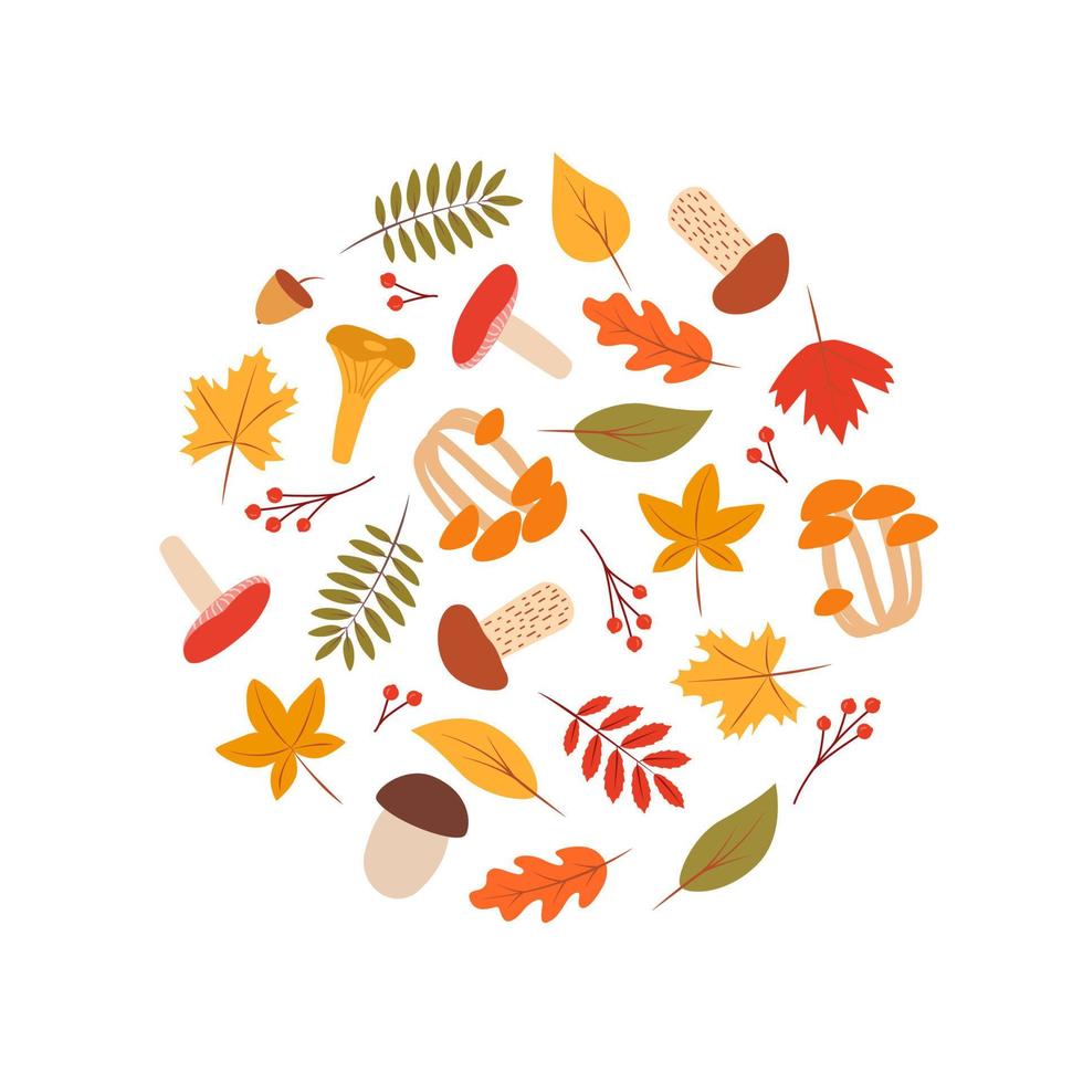 Doodle fall color set of tree leaves and mushrooms, autumn concept, vector illustration