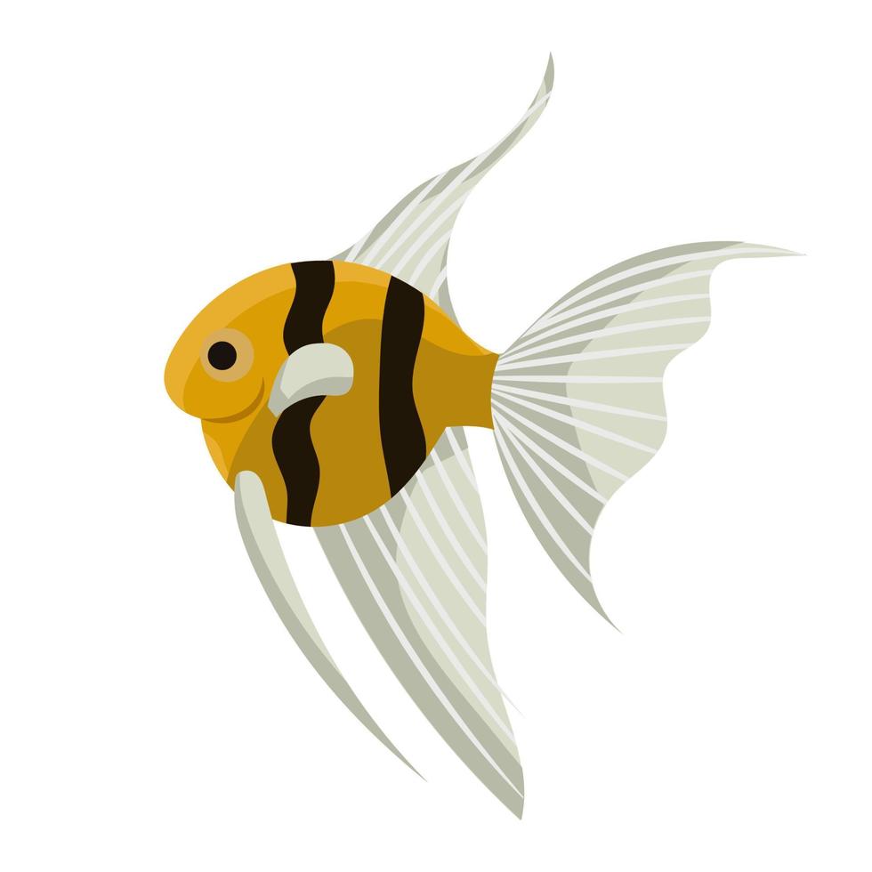Angelfish fish aquarium illustration vector and sea tropical animal. Underwater ocean and aquatic water life isolated white. Nature exotic cartoon pet angel and marine fauna icon drawing undersea