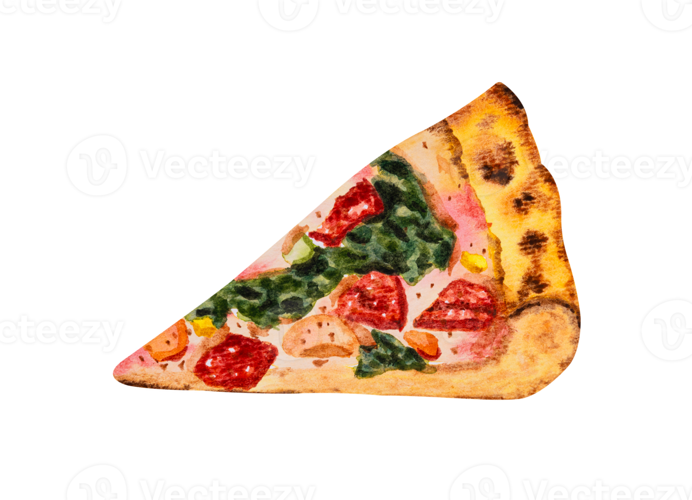 Speck Pizzastück. handgezeichnetes Aquarell png