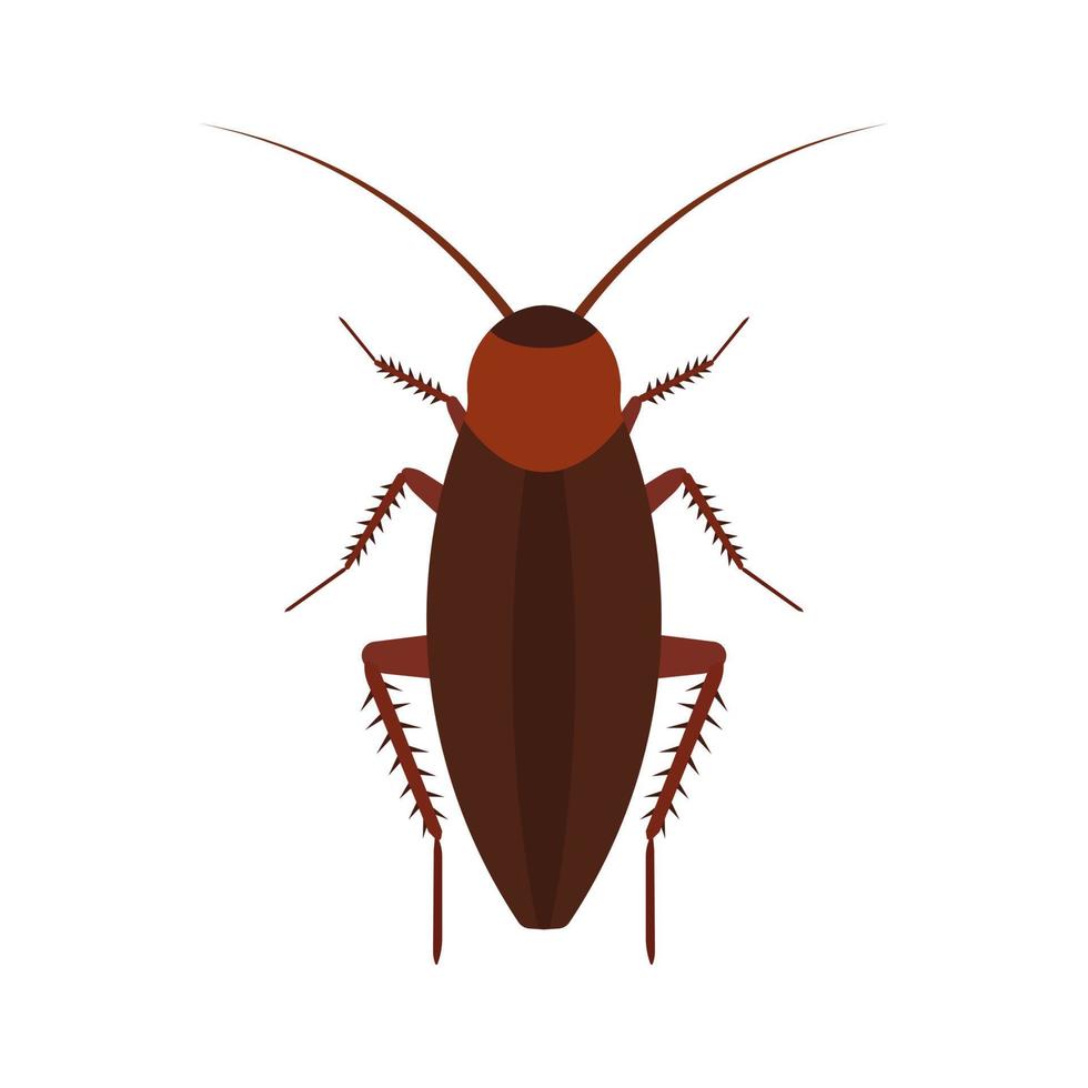 icono de vector de insecto de cucaracha sobre la plaga. insecto de dibujos animados de vista superior de animal marrón. contaminación por parásitos de cuerpo plano