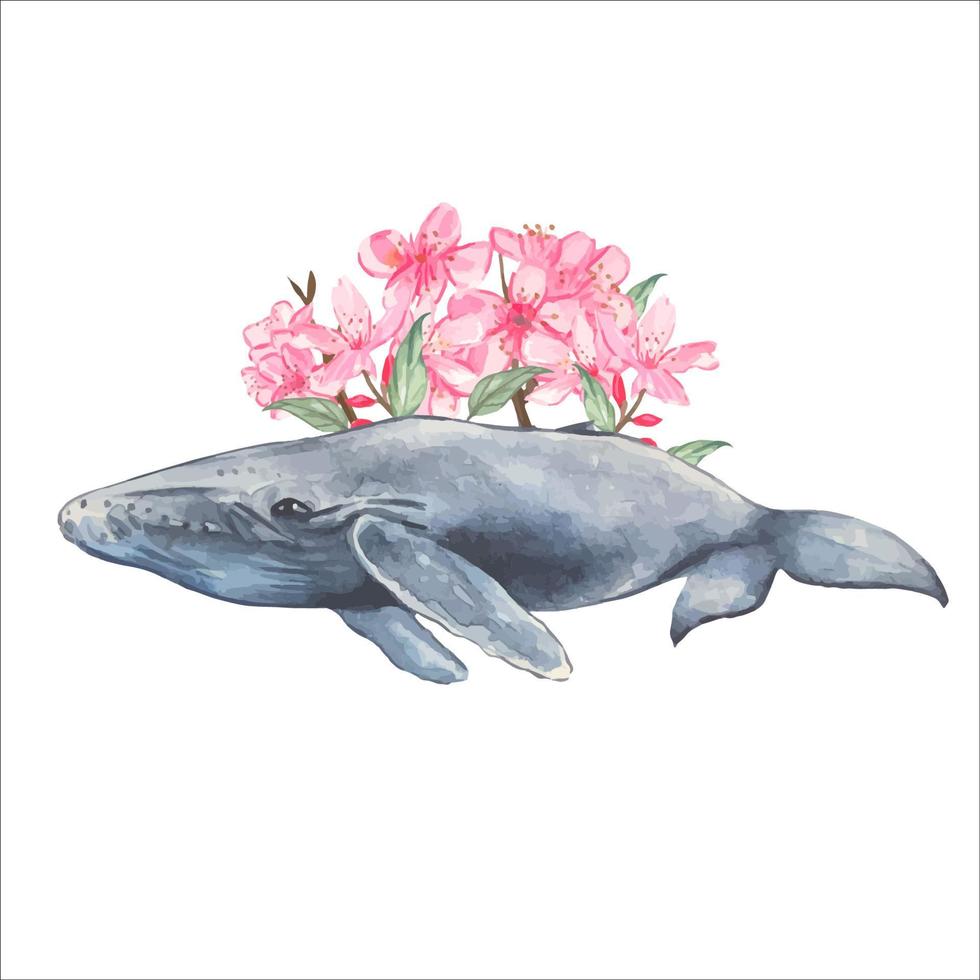 ballena azul con flores de cerezo. ilustración acuarela dibujada a mano. vector