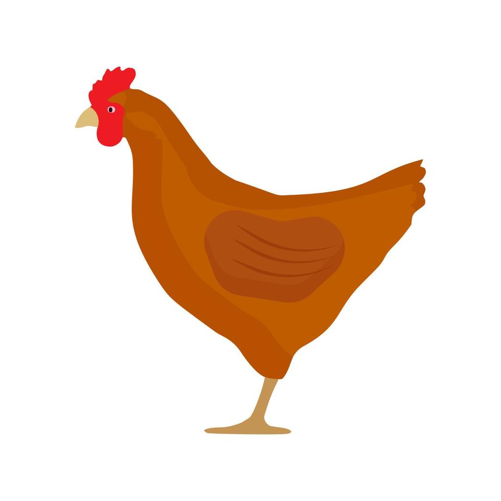 diseño de icono plano vectorial de vista lateral de pollo. comida gallo la agricultura primer plano silueta granja freisteller white. vector