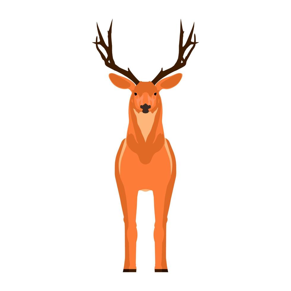 Deer front view vector symbol. Head mammal flat reindeer concept