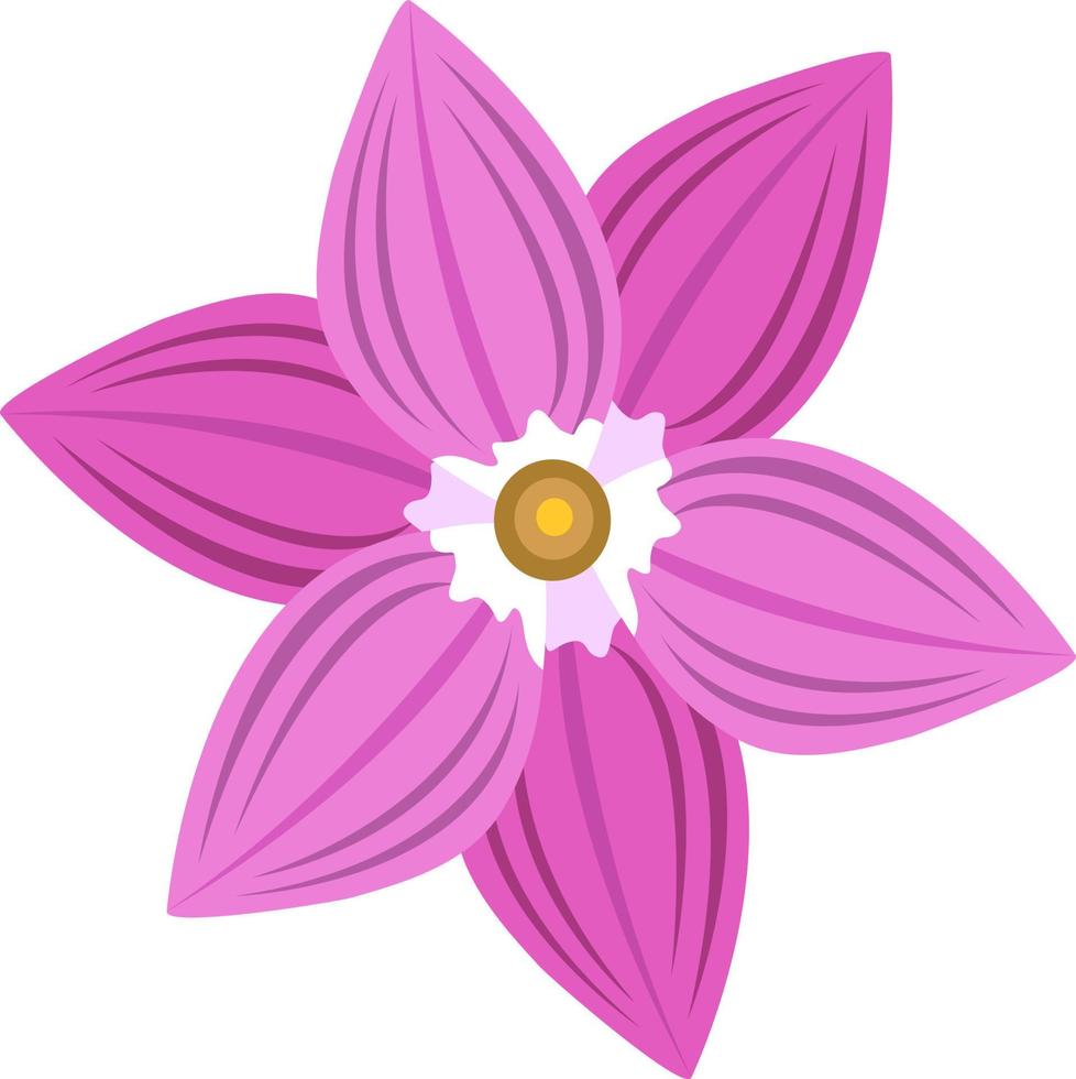 ilustración de vector de flor de lirio de lluvia rosa para diseño gráfico y elemento decorativo