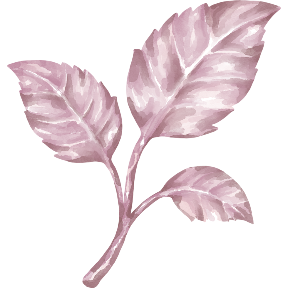 illustration d'une collection de fleurs et de feuilles conçues avec des techniques graphiques à l'aquarelle. parfait pour décorer les mariages à thème, les cartes de mariage, les impressions numériques, les mariages, les cadeaux et plus encore. png