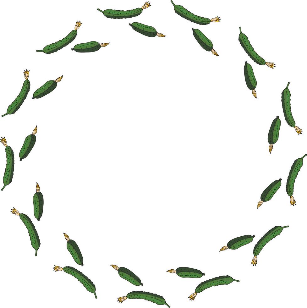 Round frame with horizontal beautiful cucumber. Isolated wreath on white background for your design vector