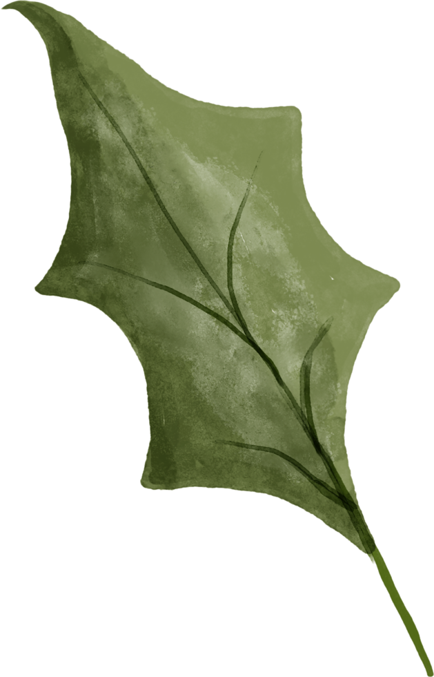 Christmas leaves foliage for decorate. png