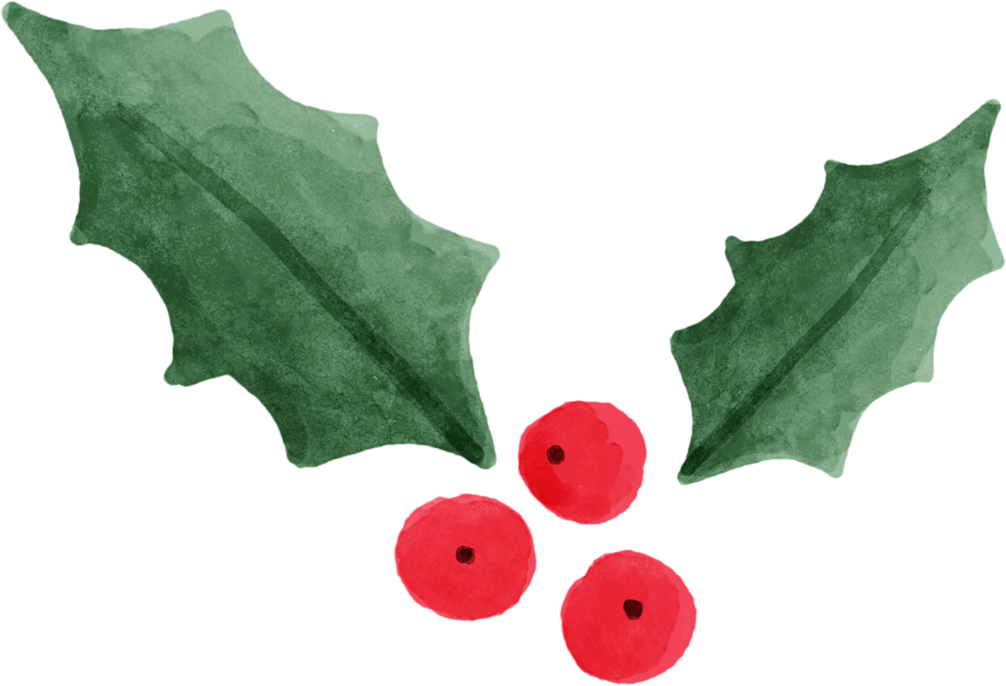 Christmas leaves foliage for decorate. png