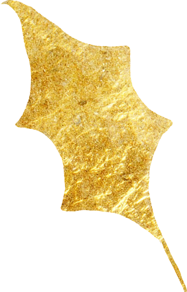 Gold Christmas leaves foliage for decorate. png