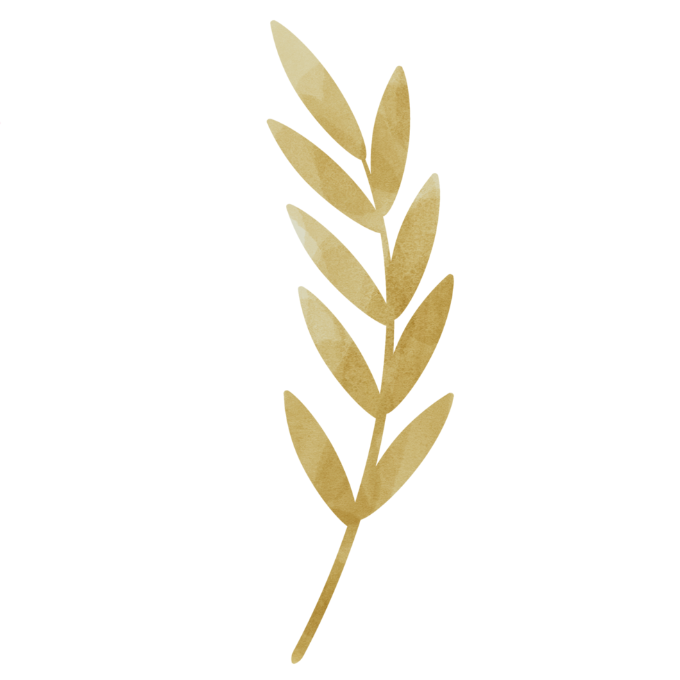 aquarelle feuille d'or png