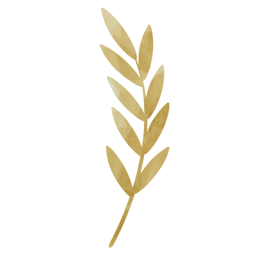 aquarelle feuille d'or png