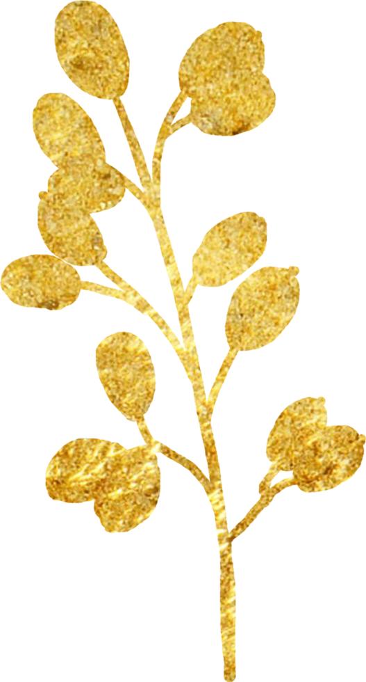Gold Christmas leaves foliage for decorate. png