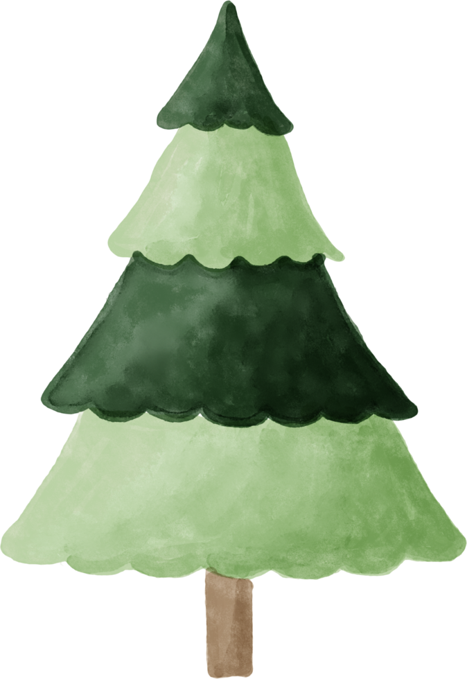 Watercolor Christmas tree for decoration. png