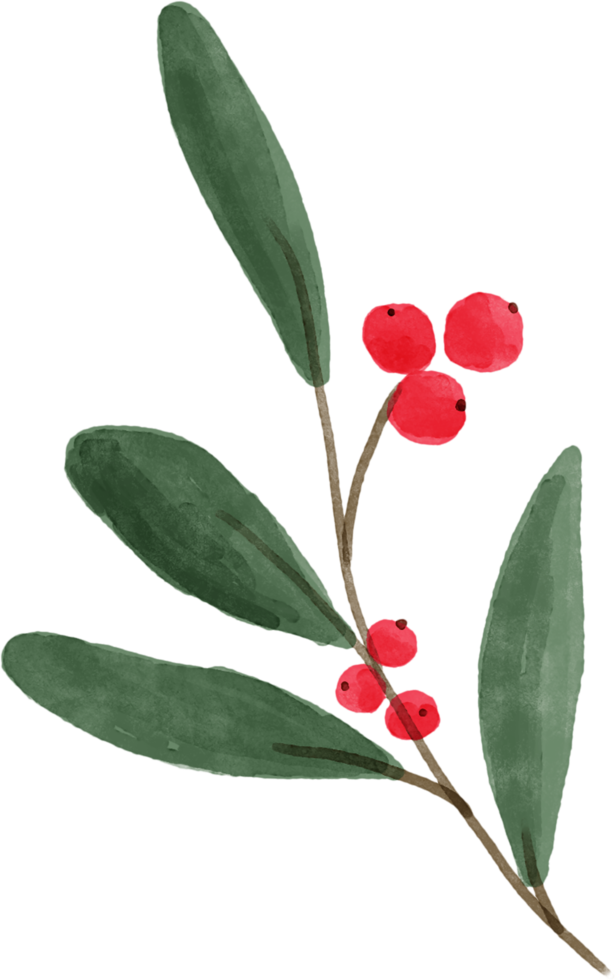 Christmas leaves foliage for decorate. png
