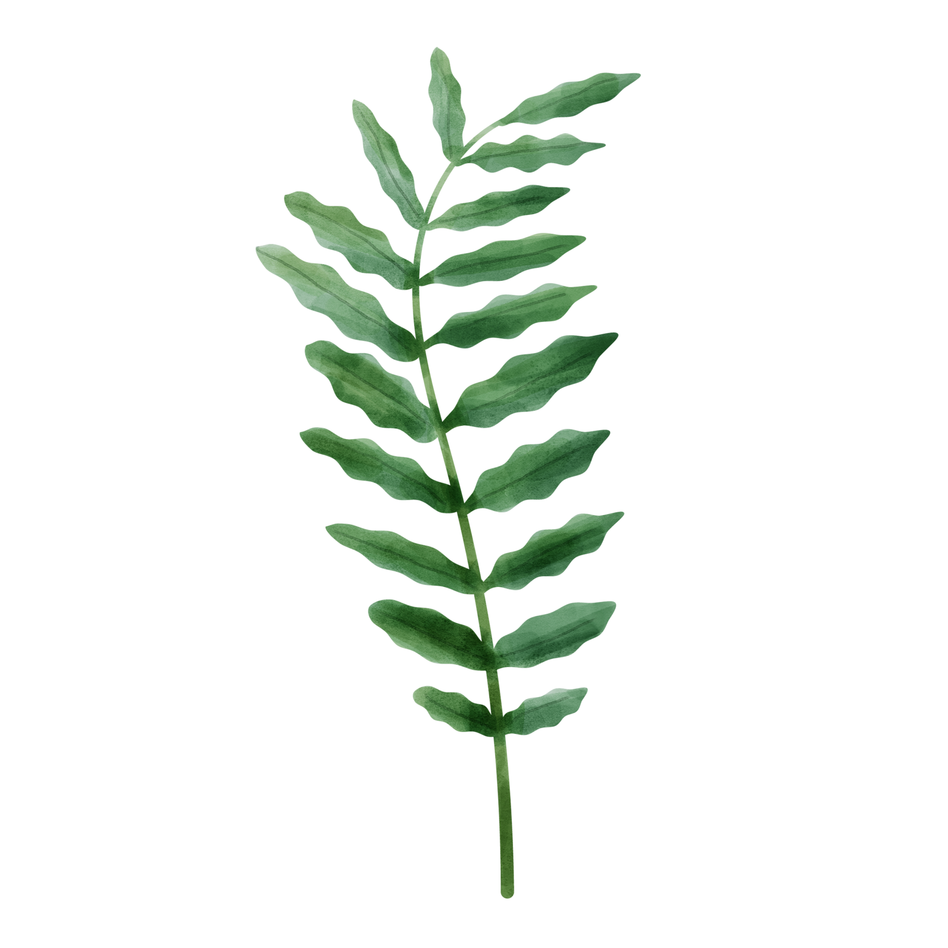 Green leaf watercolor 10883469 PNG