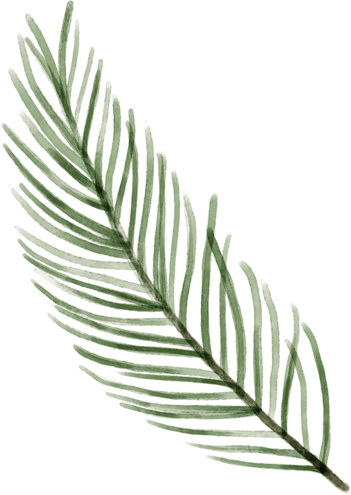 Christmas leaves foliage for decorate. png