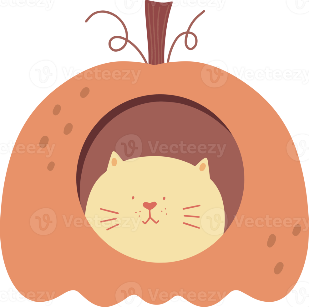 Cartoon illustration with cat and pumpkin house png