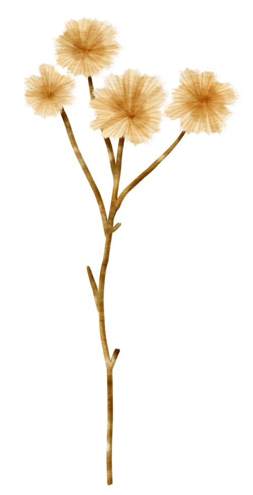 ramo di fiori selvatici in stile acquerello per elemento decorativo png