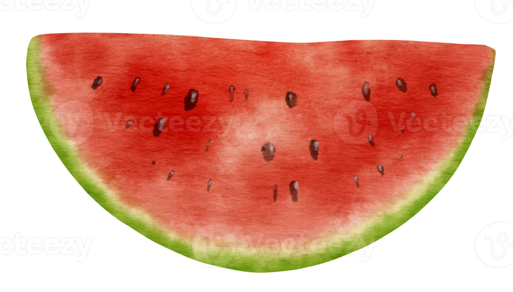 Slice of watermelon ripe fruit watercolor style for summer Decorative Element png