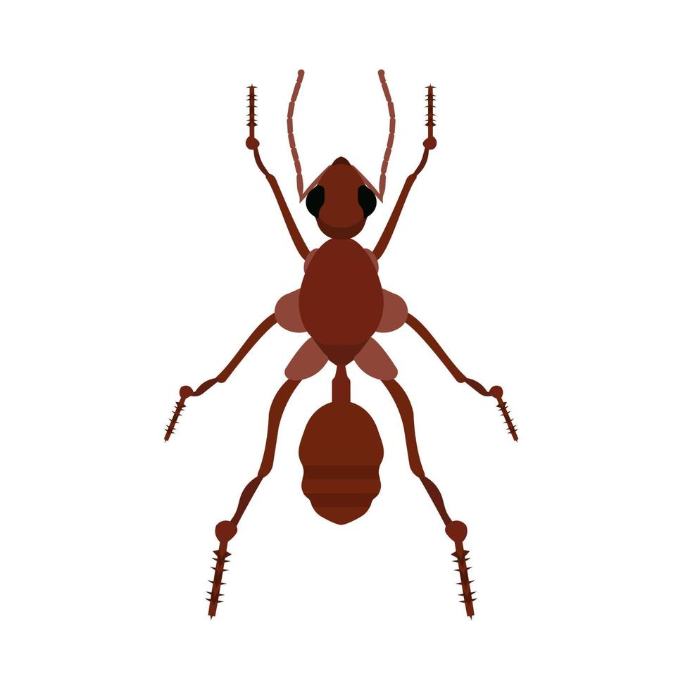 Ant small wildlife brown worker top view vector. Flat forest insect icon vector