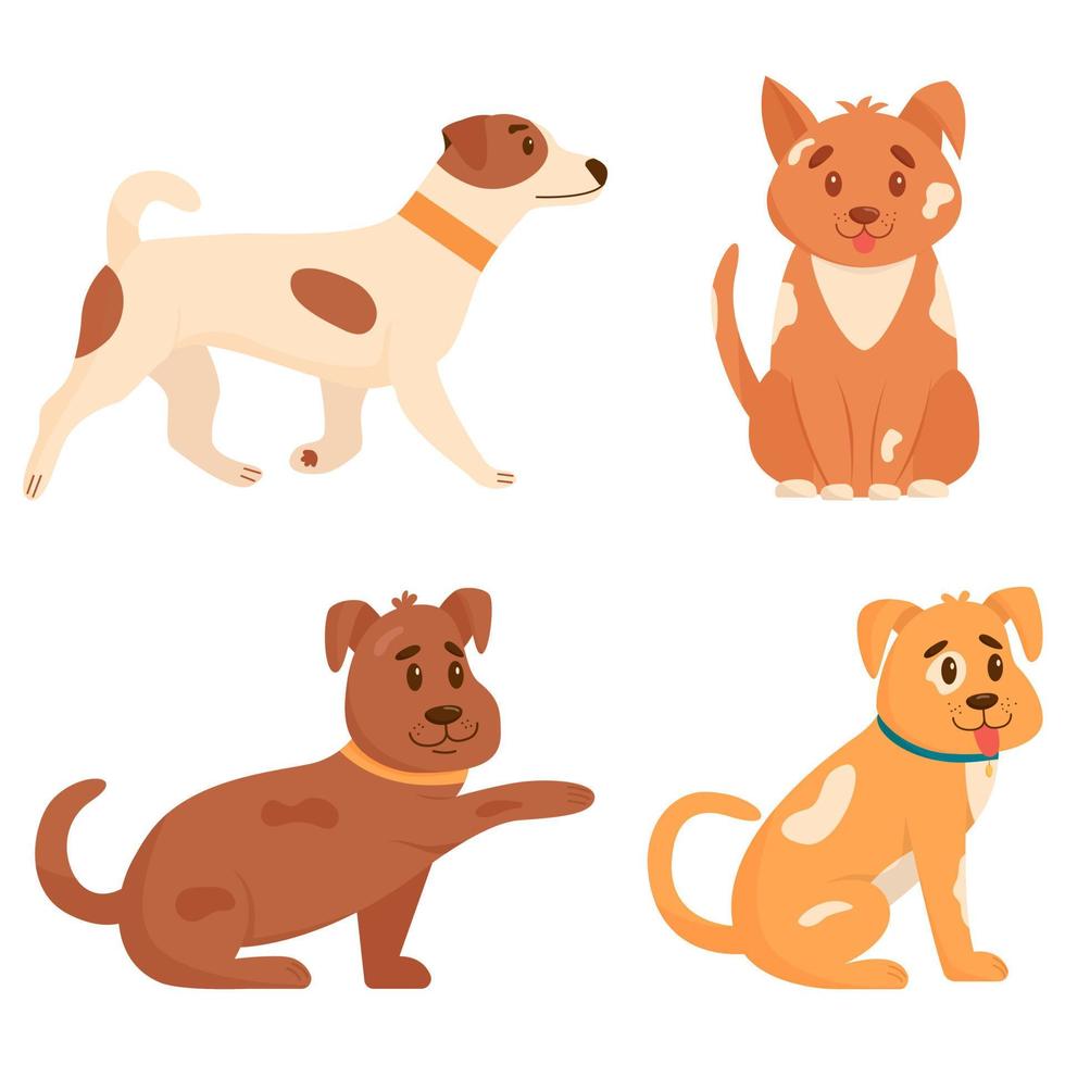 conjunto de lindos perros en diferentes poses. perros divertidos aislados sobre fondo blanco. ilustración vectorial plana vector