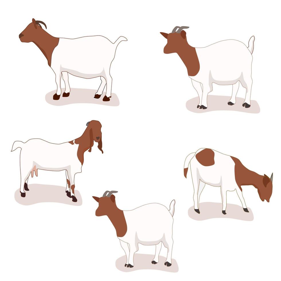 Farm animal set goat cartoon character vector