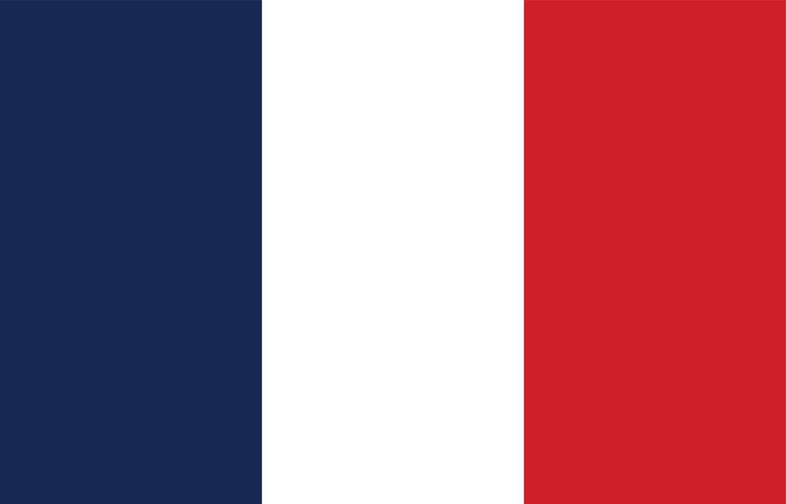 gráfico de vector de bandera de Francia. rectángulo ilustración de la bandera francesa. La bandera del país de Francia es un símbolo de libertad, patriotismo e independencia.