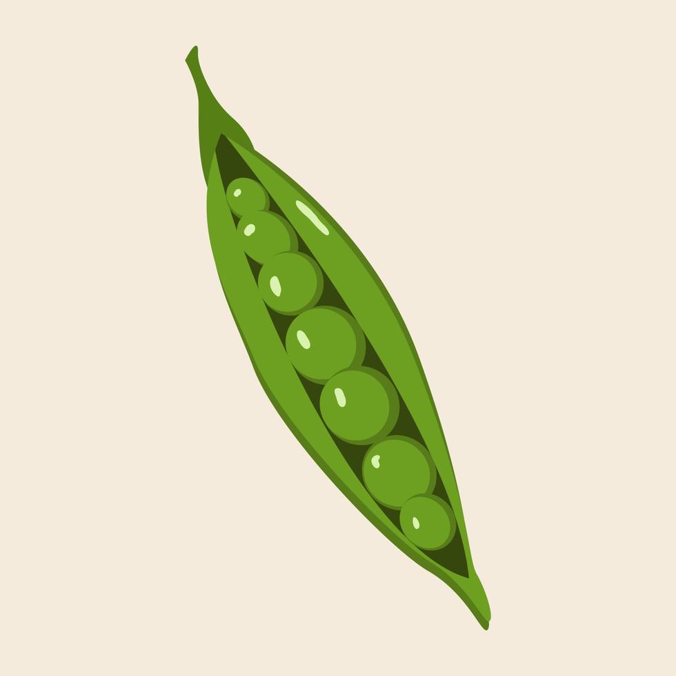 green peas isolated on white background vector illustration