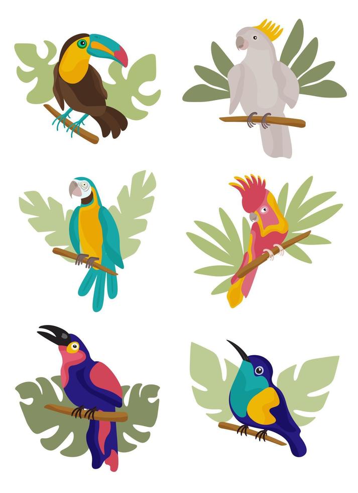 Bright colored parrot and tropical leaves. Cockatoo parrot in the tropics. Exotic birds. Multicolored summer bird. vector