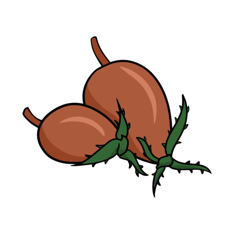 Ripe rosehip fruits for brewing vitamin tea, vector cartoon illustration on a white background