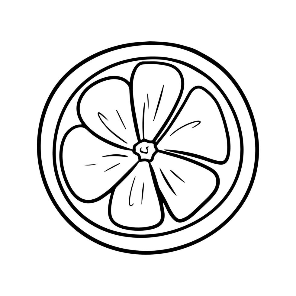 Monochrome picture, round slice of lemon, ingredients for making tea, cocktails, pastries, vector illustration in cartoon style on a white background