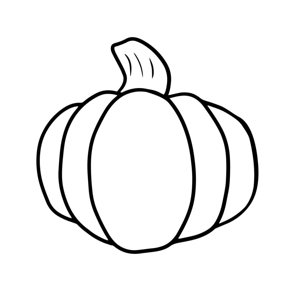 Monochrome picture, large ripe pumpkin, vector illustration in cartoon style on a white background