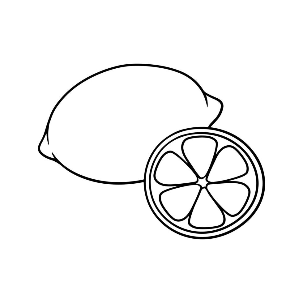 Monochrome ripe lemon, round slice of lemon, cooking ingredients, vector illustration in cartoon style on a white background