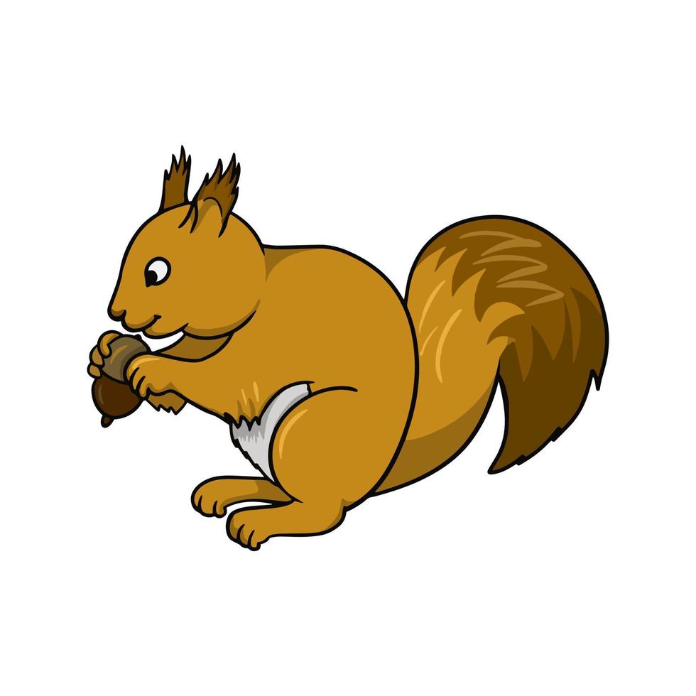 A bright fluffy squirrel sits and nibbles a nut, vector illustration in ...