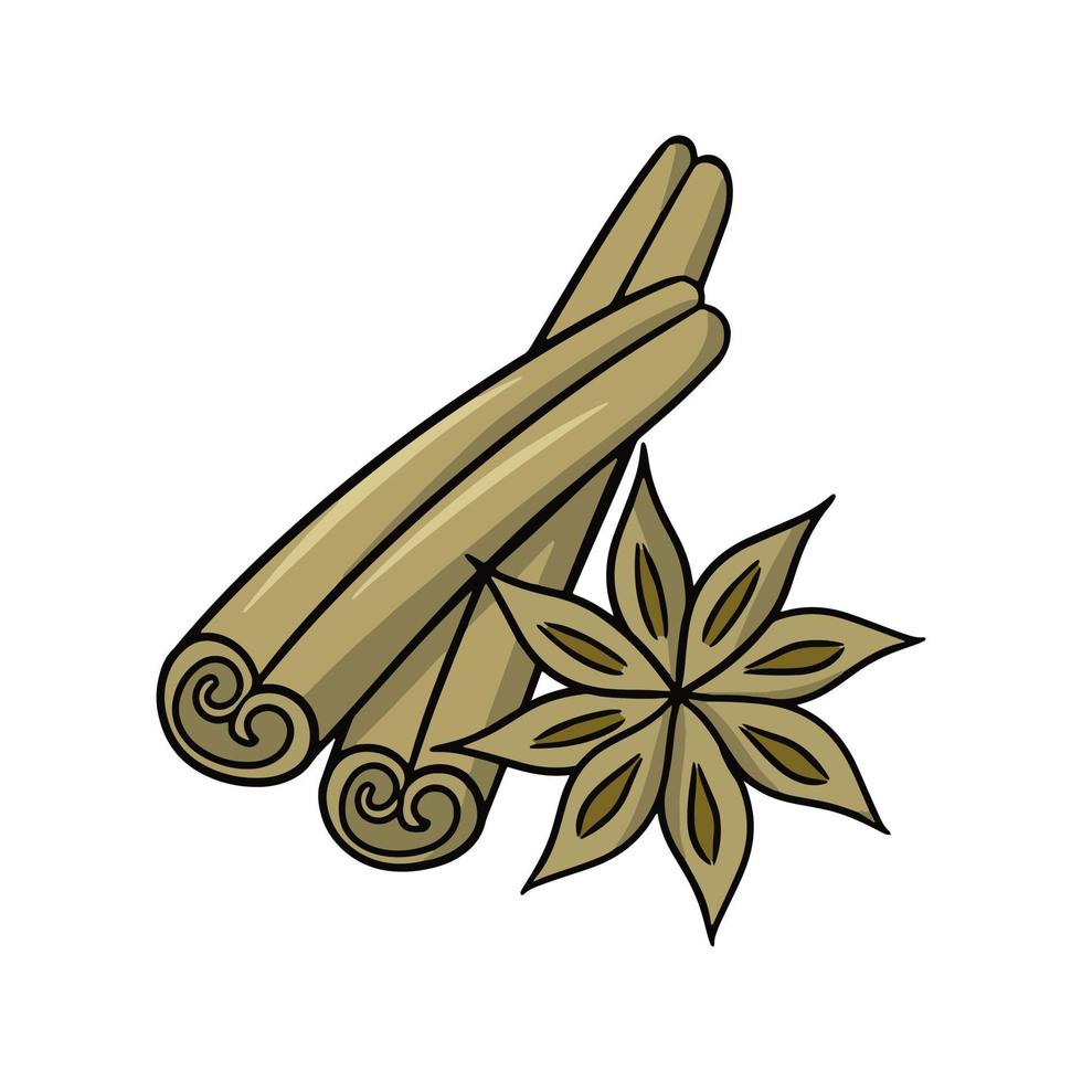 Cinnamon stick and star anise spices, vector cartoon illustration on white background