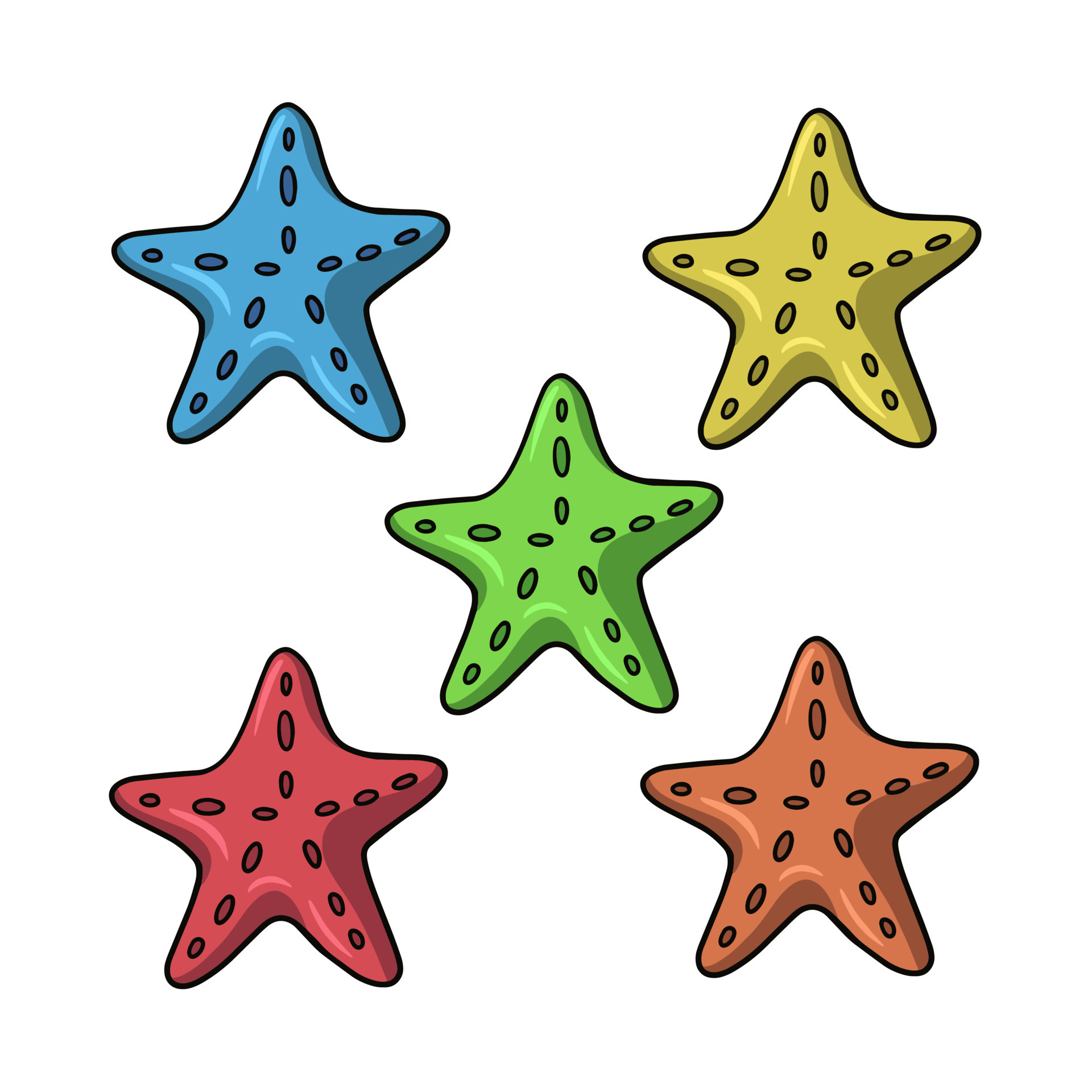 Collection of colorful tropical starfish, vector illustration in