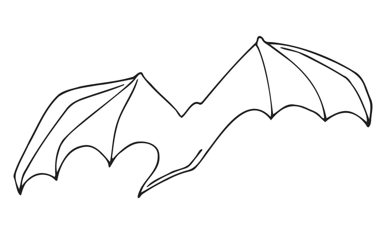WebVector illustration of a bat. A flying Halloween bat. Hand-drawn doodle style Isolated on white background vector