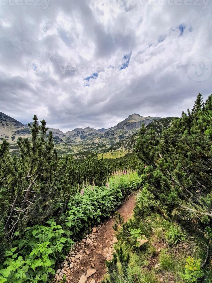 Stunning view on the way to the Jangal peak and Popovo Lake in Pirin Mountains, Bulgaria. photo