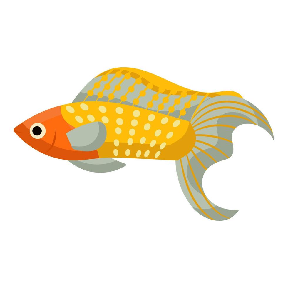 Mollies fish aquarium water animal nature and vector underwater aquatic art. Tropical illustration fish with tail and fin. Beautiful decorative multicolored pet drawing and ichthyology coral reef