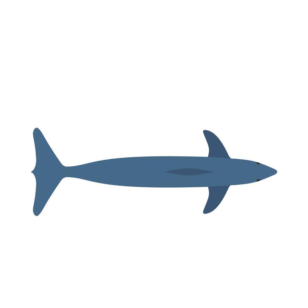 Dolphin blue mammal art graphic symbol vector icon. Animal sea aquarium show illustration top view.