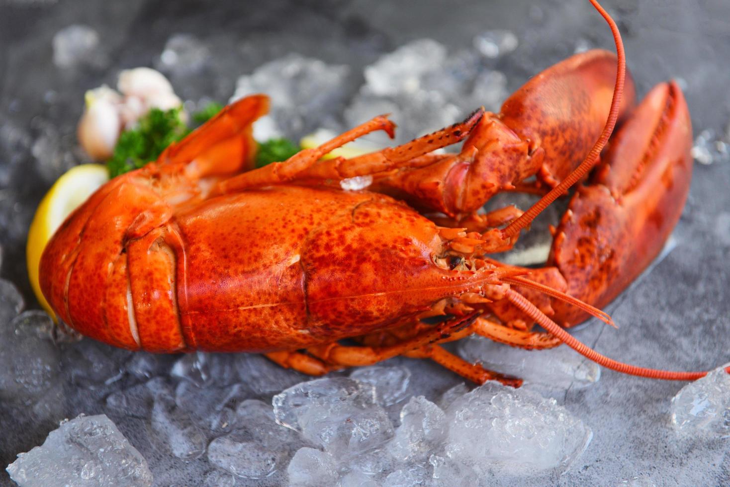 cena de langosta roja marisco con especias de hierbas limón perejil servido en la mesa y hielo en el restaurante comida gourmet saludable langosta hervida cocinada - comida fresca de langosta en un plato negro de fondo foto