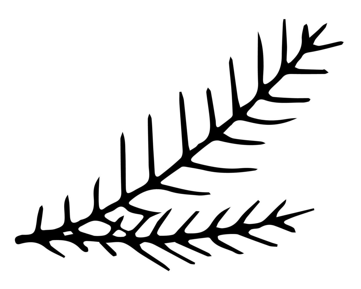 Hand drawn spruce twig. Vector black and white doodle fir branch. Vector illustration of Christmas tree branch.