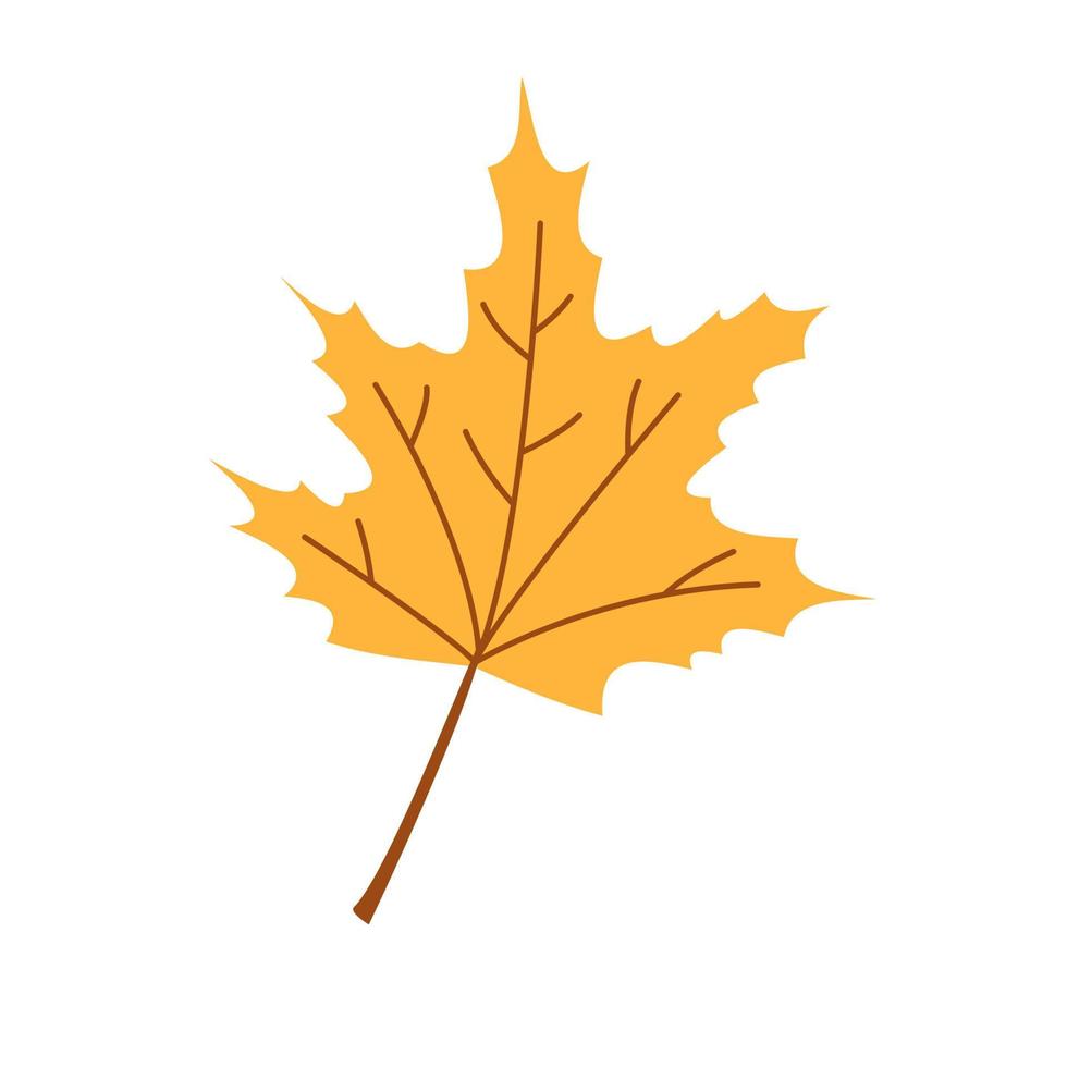 Vector autumn leaf. Fall yellow maple leaf. Gold foliage. Autumn maple tree.