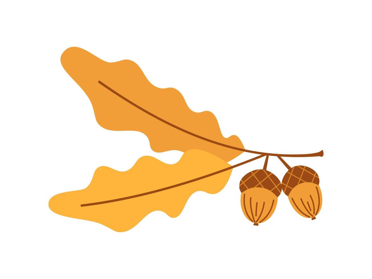 Vector branch with oak leaves and acorns. Autumn oak tree. Cute oak branch with acorns.