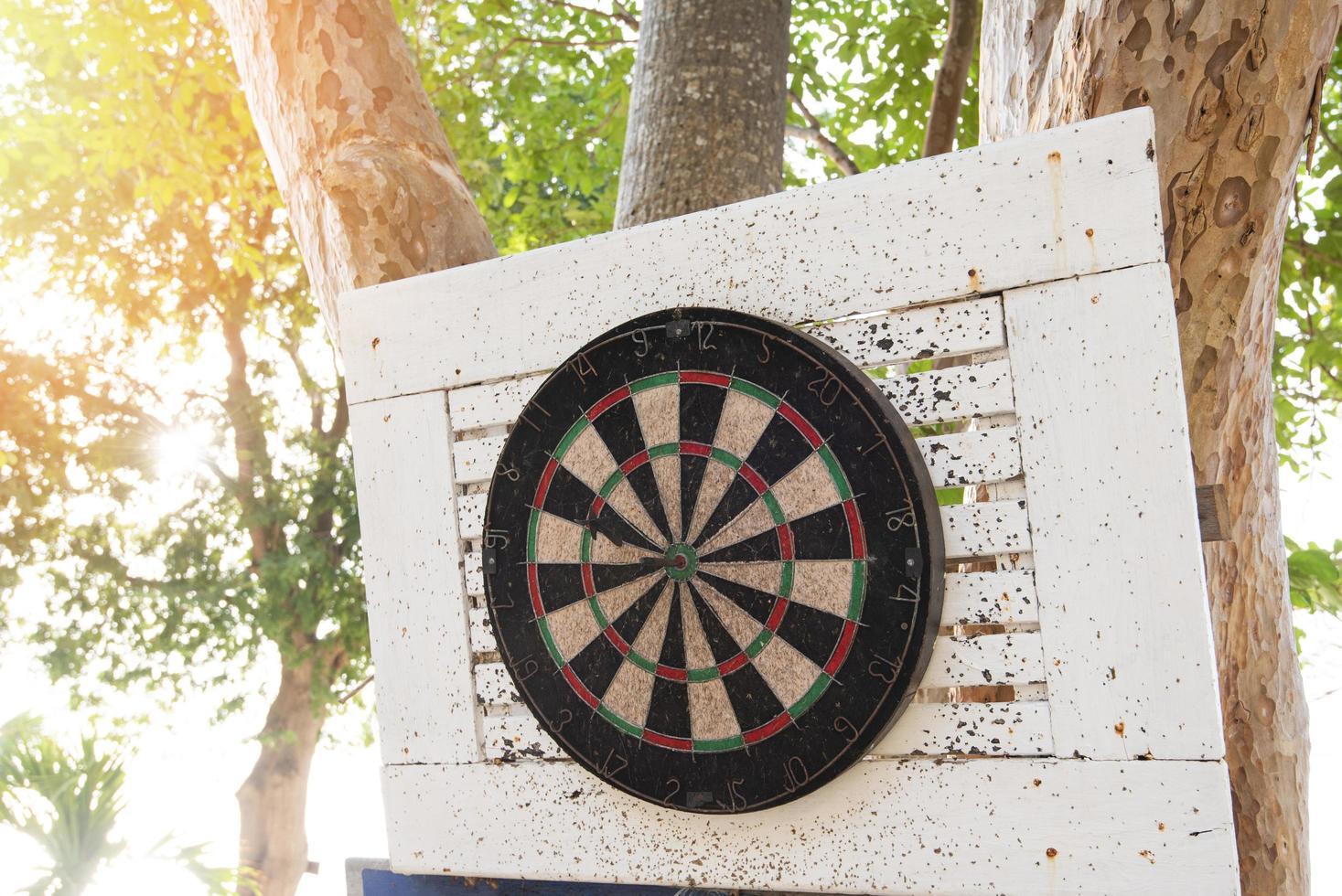 Old dart hit the mark on the darts board on the tree photo
